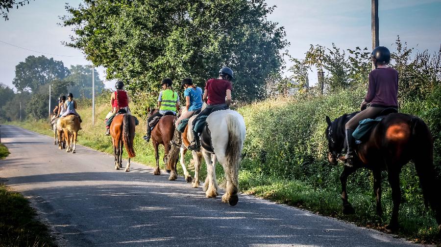 Balade  cheval Ctes-dArmor Bretagne Nord photo 4