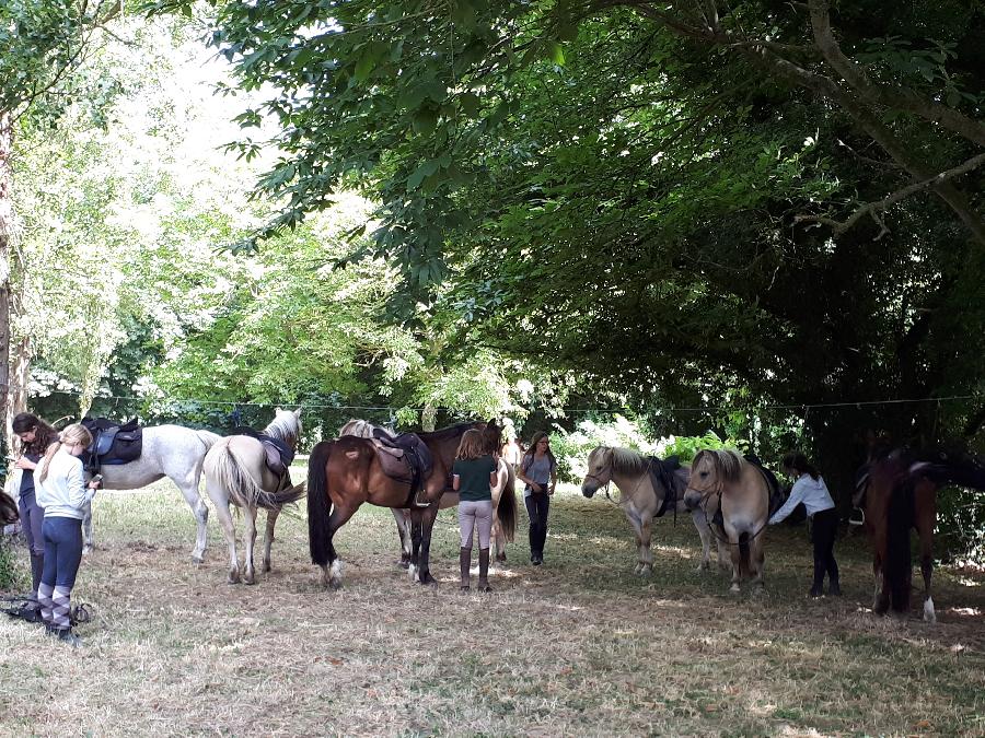 Balade  cheval Ctes-dArmor Bretagne Nord photo 5