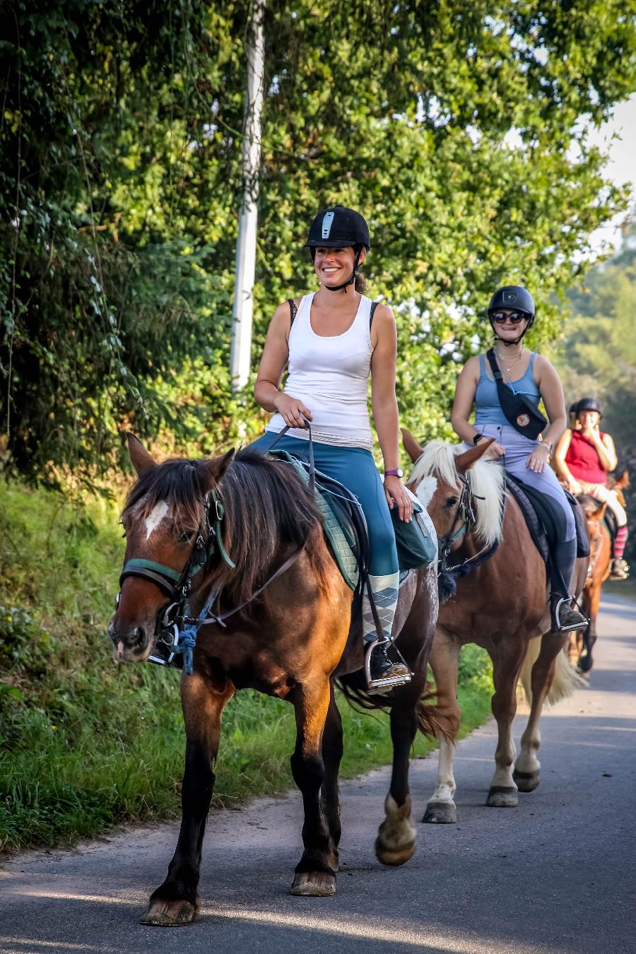 Balade  cheval Ctes-dArmor Bretagne Nord