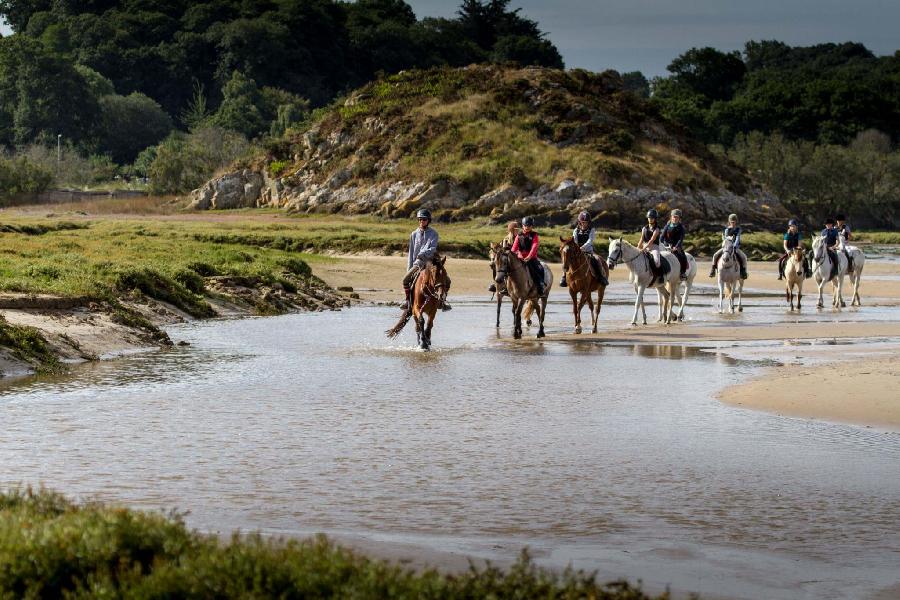 Balade  cheval Ctes-dArmor Bretagne Nord photo 2