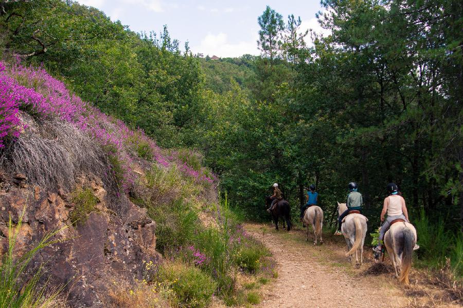 rando Randonne questre Aveyron