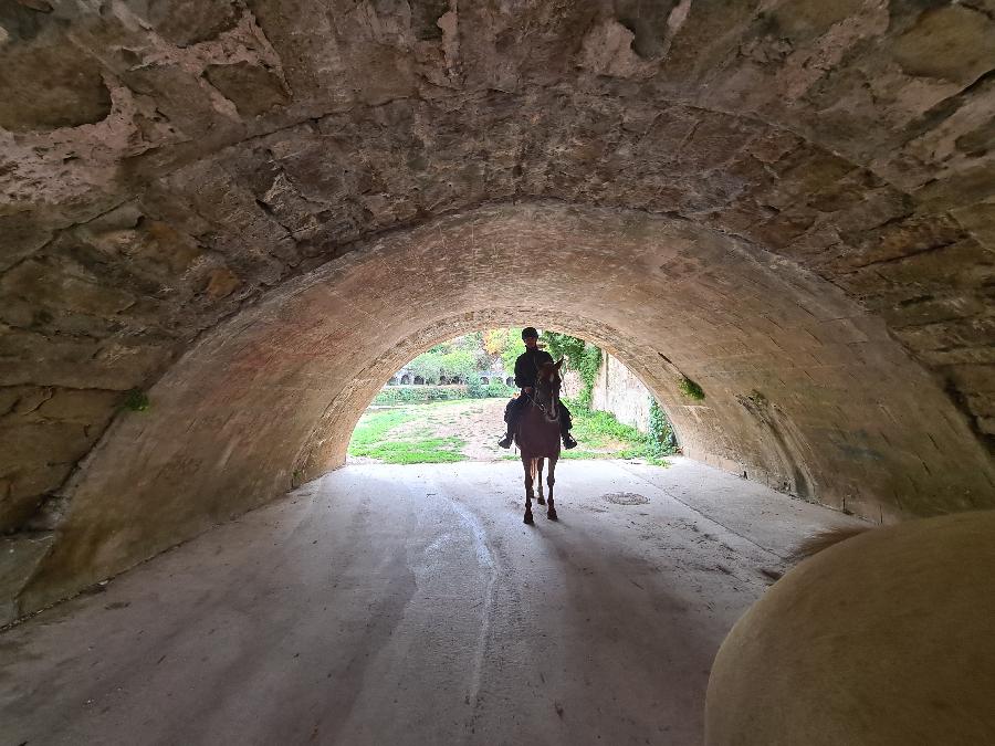 sejour Aveyron Sgala photo 2