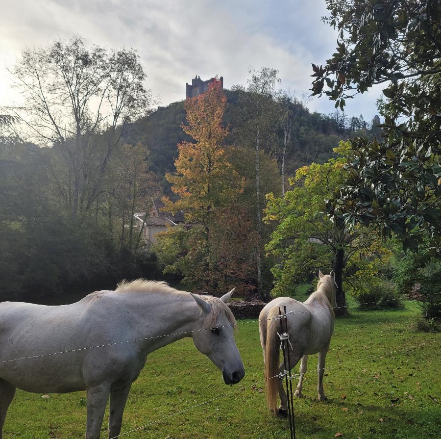 rando Randonne questre Aveyron