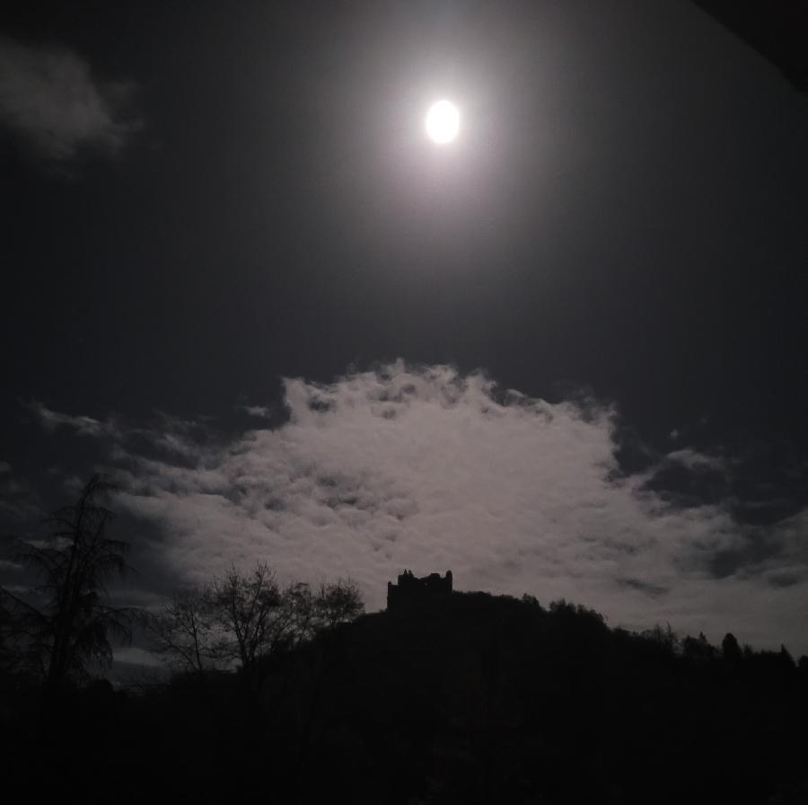 Sjour questre   photo 4