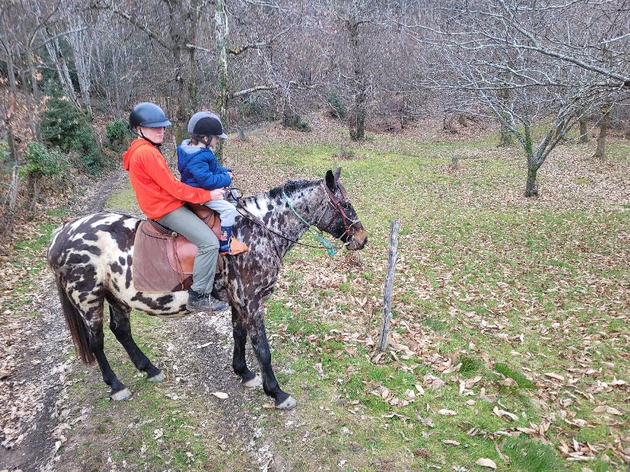 Randonne questre   photo 6