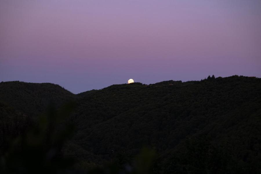 Sjour questre   photo 3