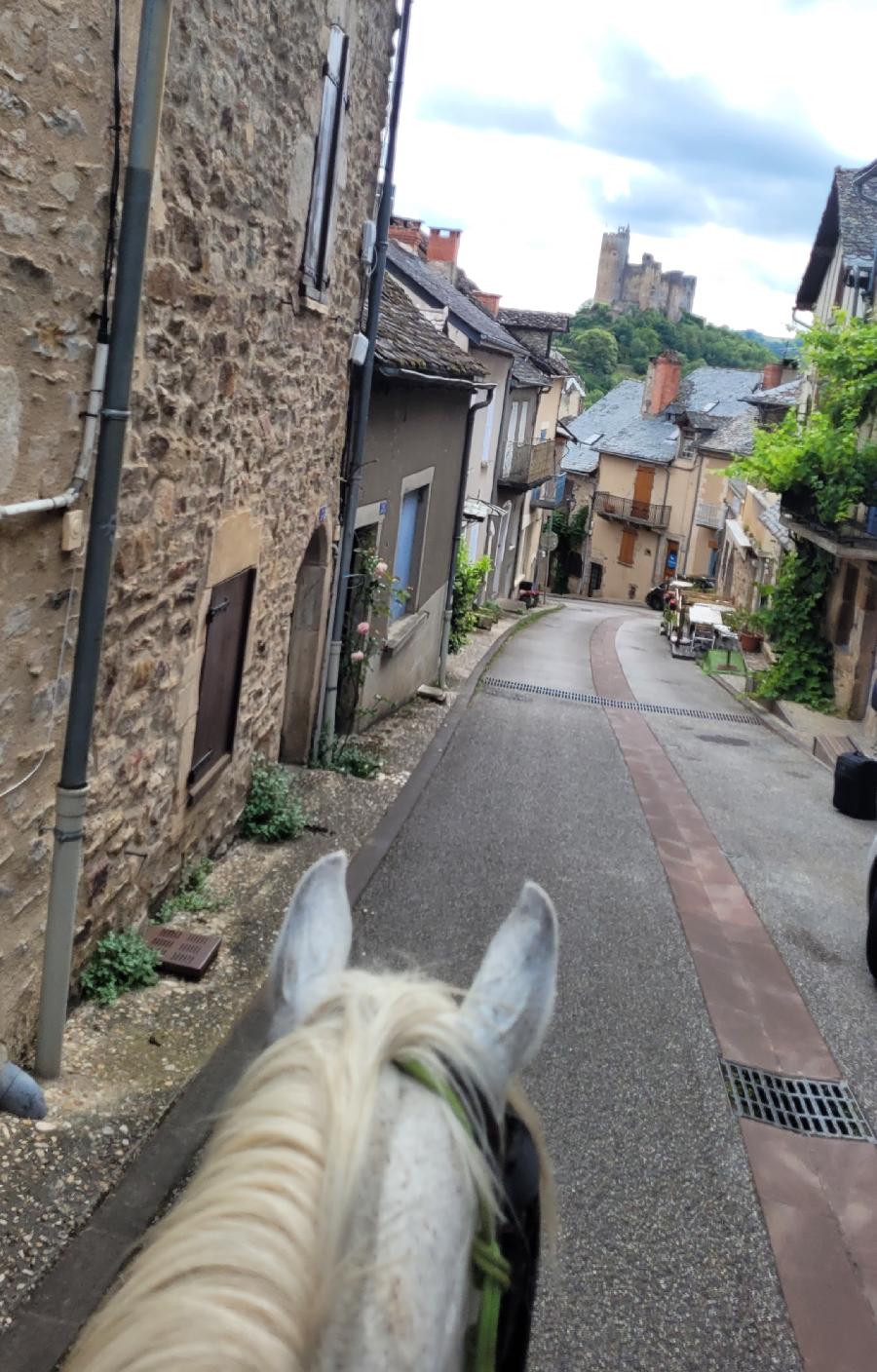 S�jour �questre   photo 2