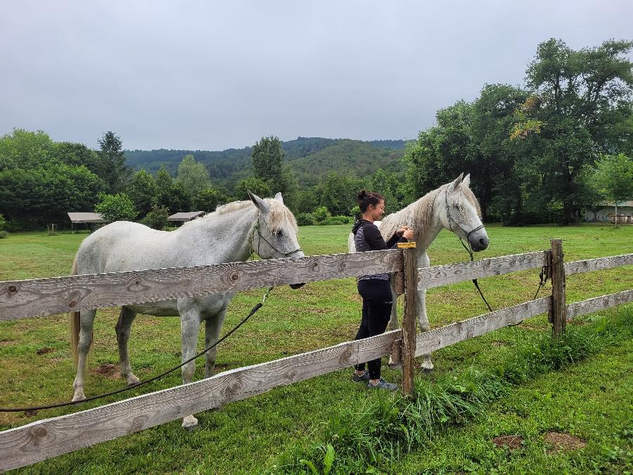 S�jour �questre   photo 4