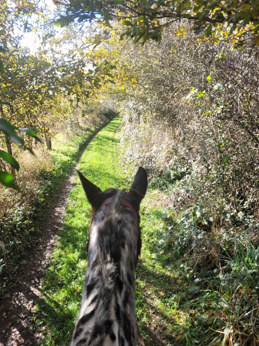 Sjour questre   photo 2