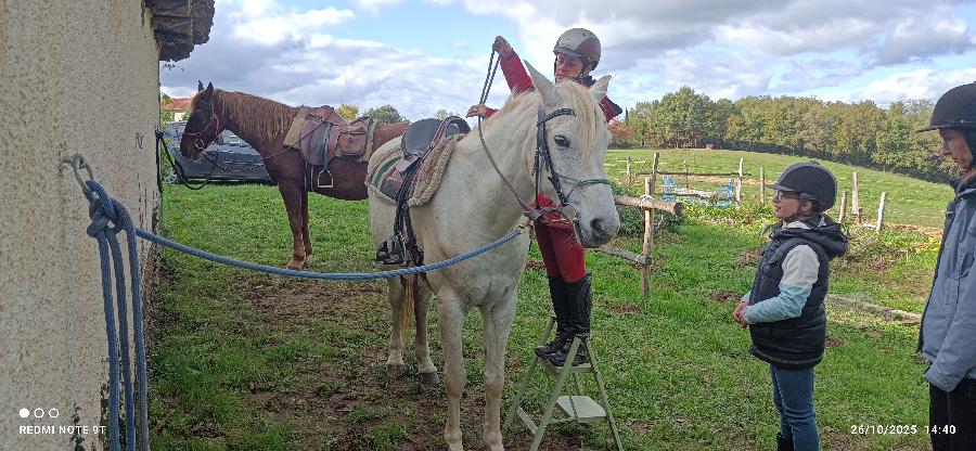 Sjour questre   photo 4