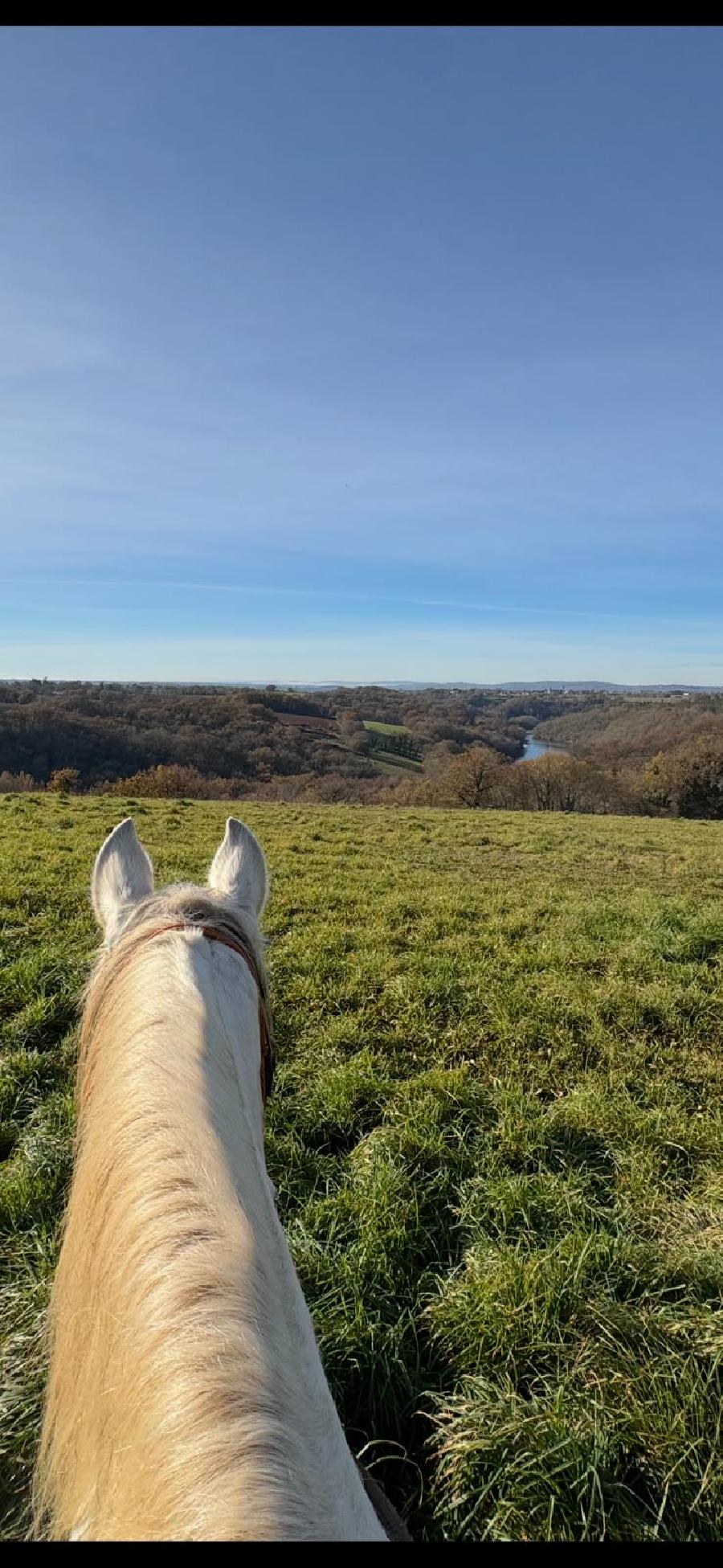 Sjour questre   photo 5