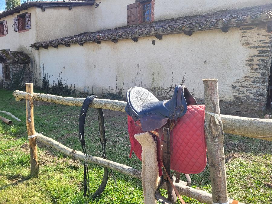 Sjour questre   photo 6