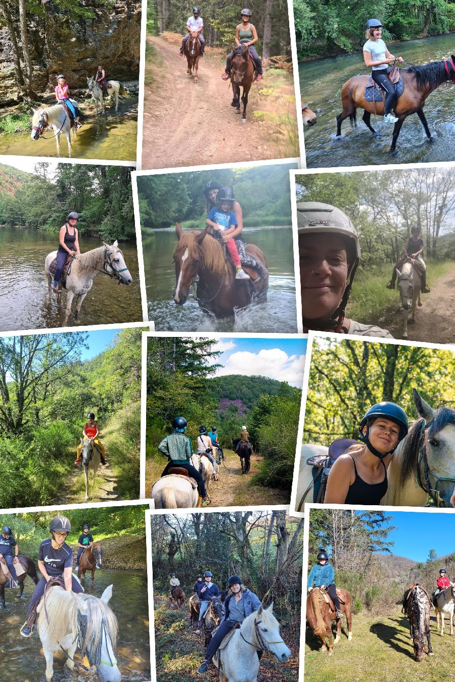 Sjour questre   photo 2