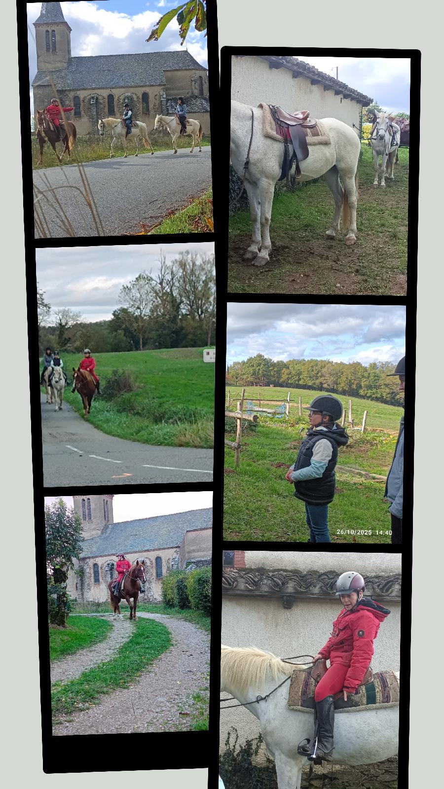 Sjour questre   photo 3