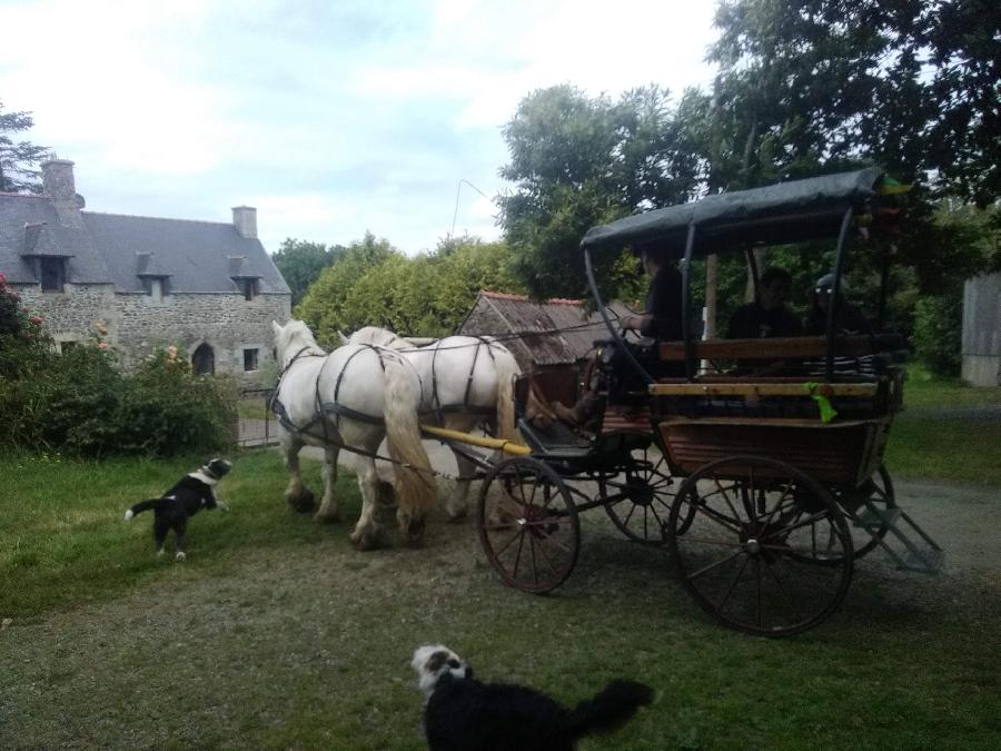 Balade  cheval Ctes-dArmor Bretagne Nord