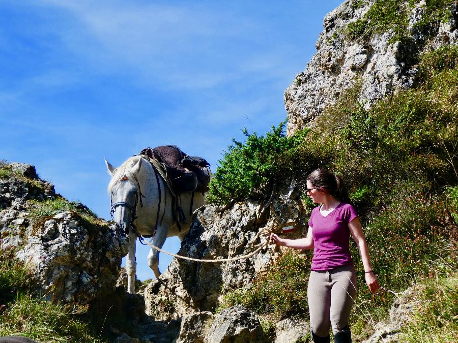 Randonne questre Hautes-Pyrnes Pyrnes photo 3