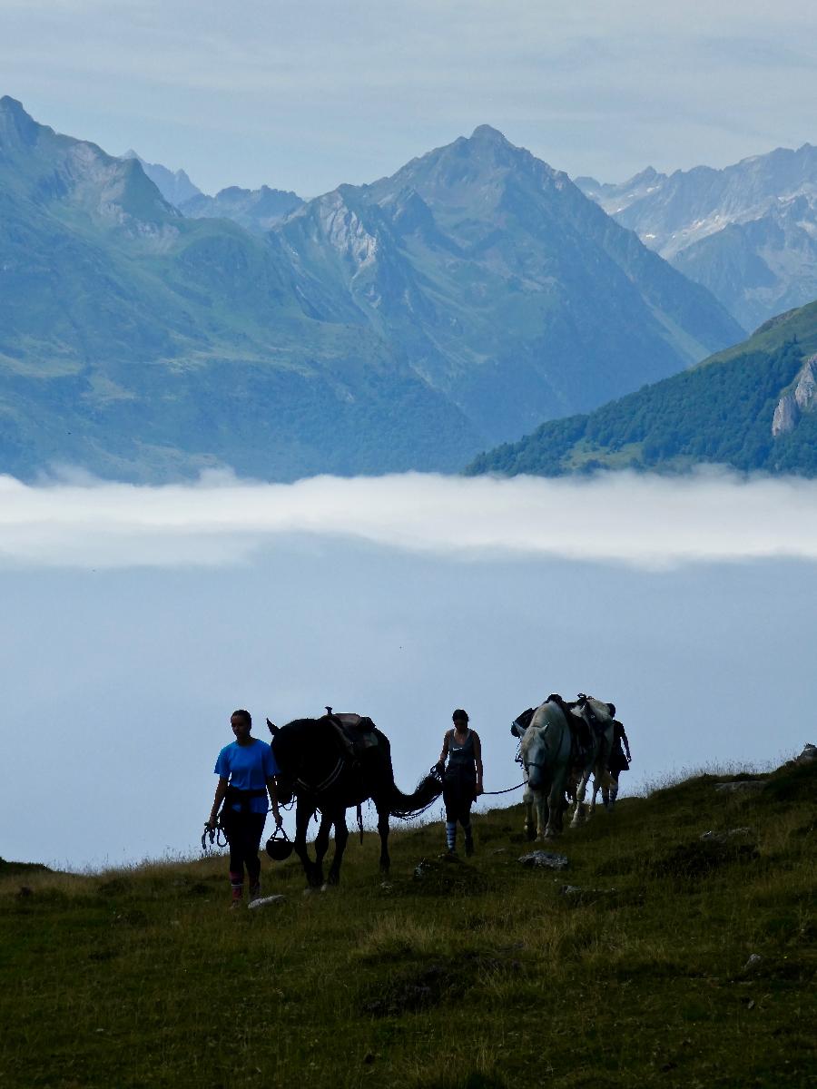 Sjour questre Hautes-Pyrnes Pyrnes photo 4