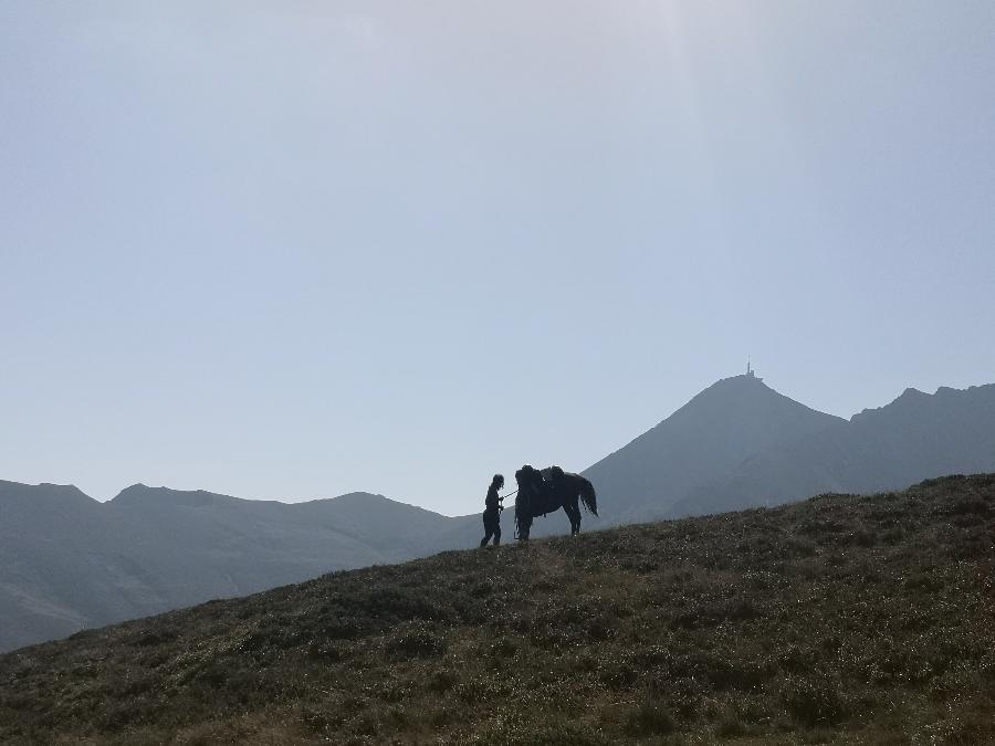 Sjour questre Hautes-Pyrnes Pyrnes photo 5