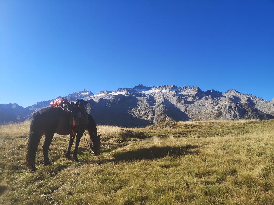 rando Randonne questre Hautes-Pyrnes