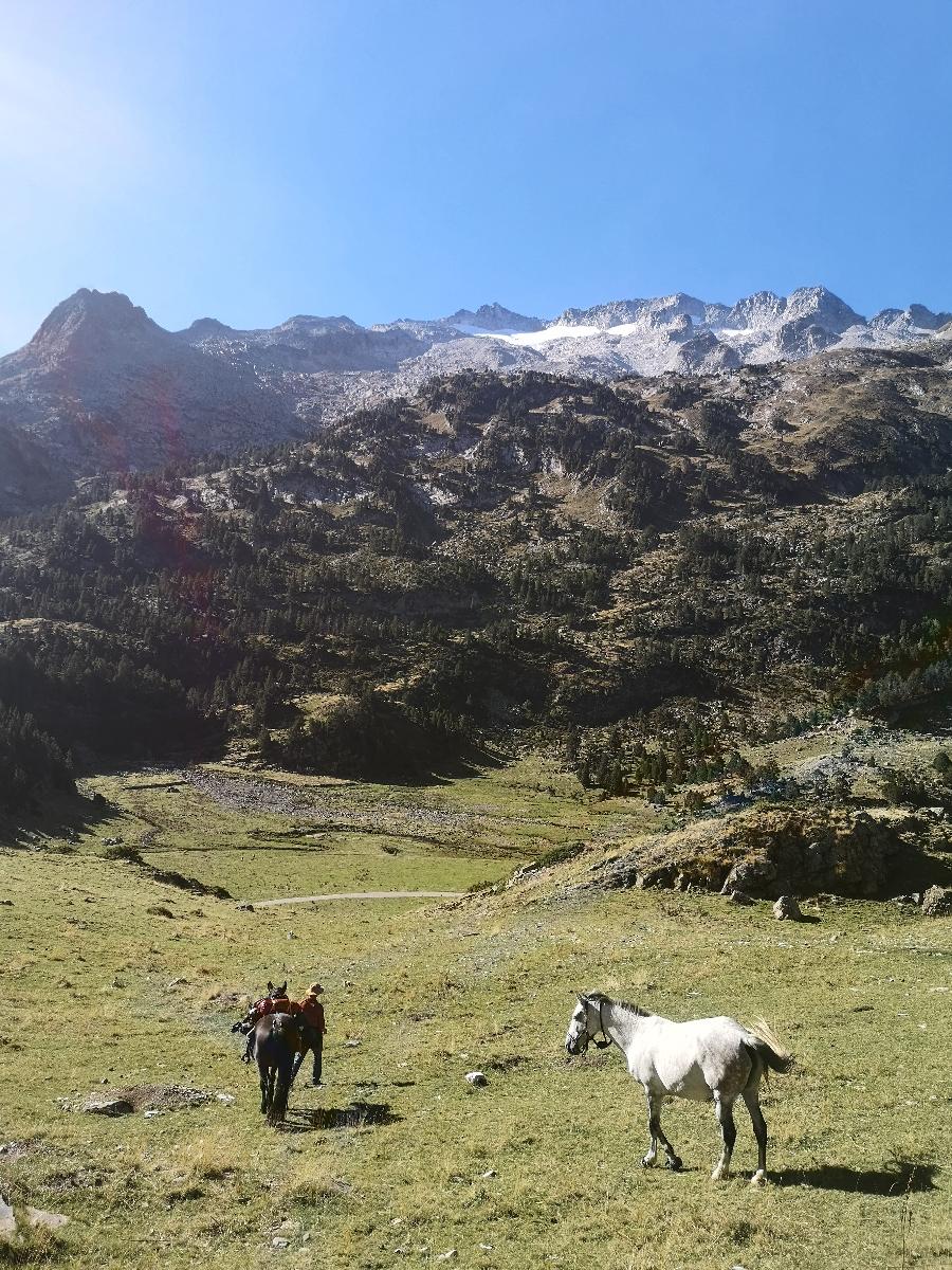 Voyage  cheval Hautes-Pyrnes Pyrnes photo 2