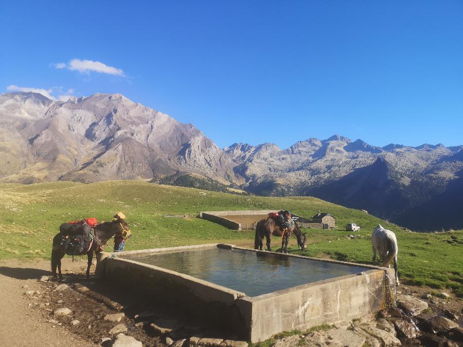 Voyage  cheval Hautes-Pyrnes Pyrnes photo 6