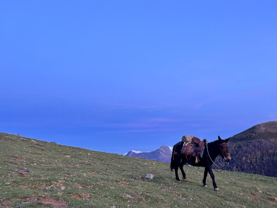 S�jour �questre   photo 4