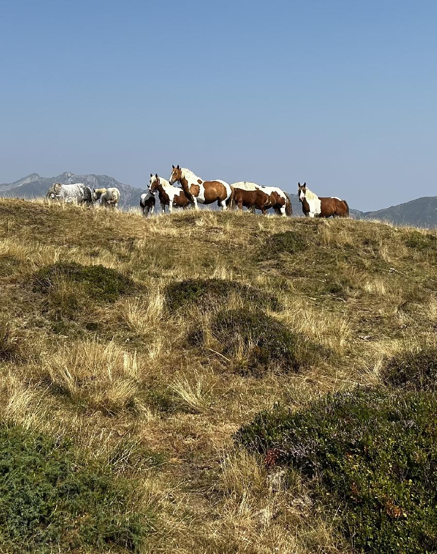 S�jour �questre   photo 6