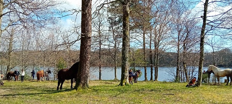 Sjour questre   photo 6