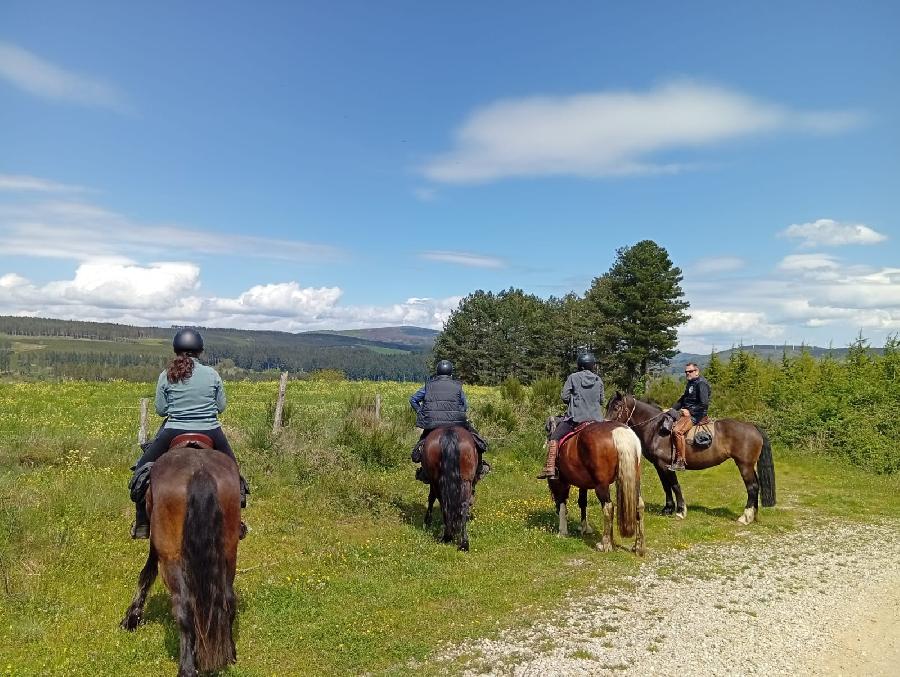 S�jour �questre   photo 4