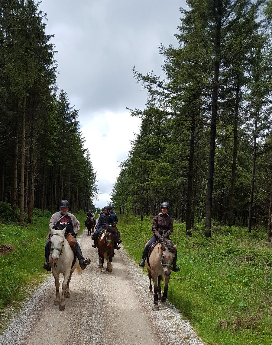 S�jour �questre   photo 2