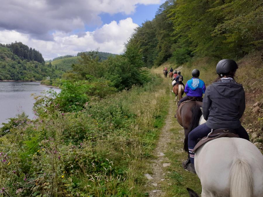 S�jour �questre   photo 3