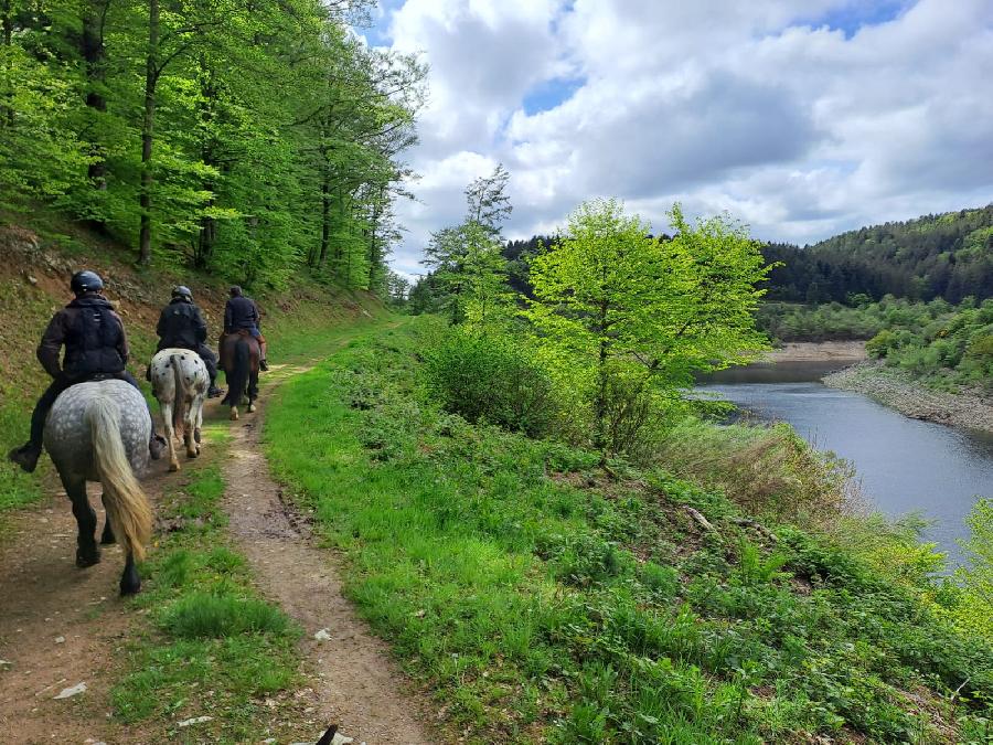 Sjour questre Tarn PNR du Haut-Languedoc photo 3