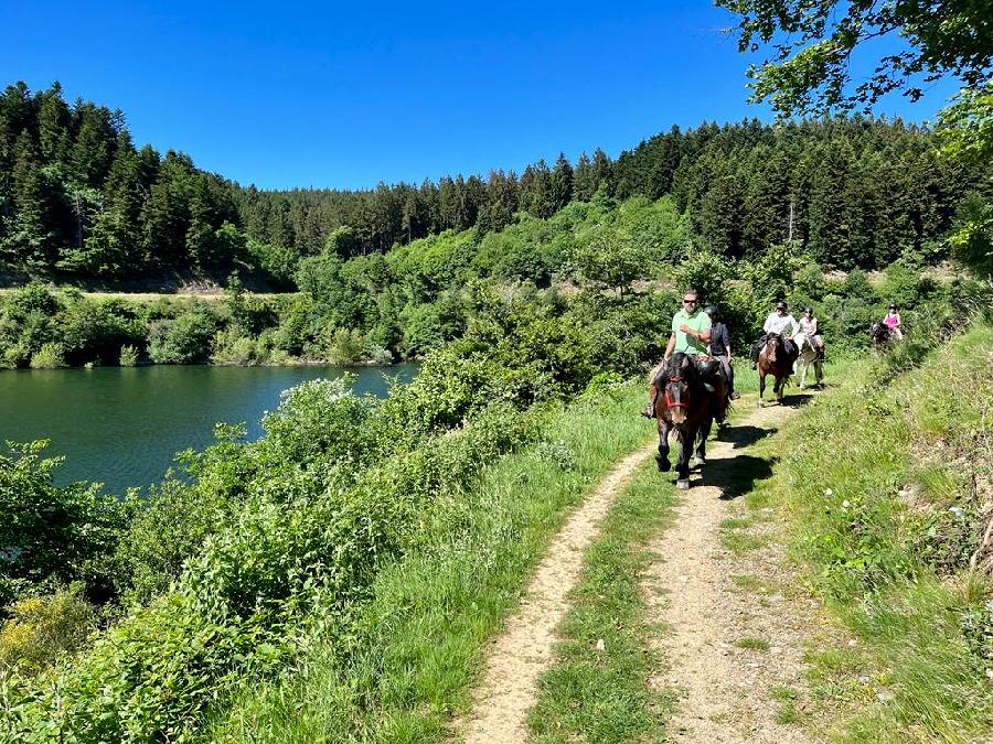 Sjour questre Tarn PNR du Haut-Languedoc