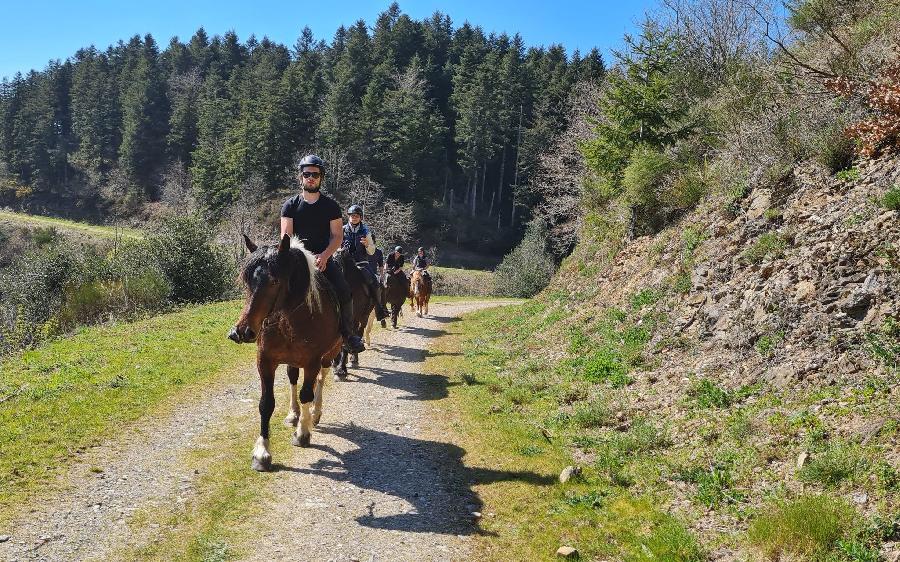 sejour Tarn PNR du Haut-Languedoc photo 4