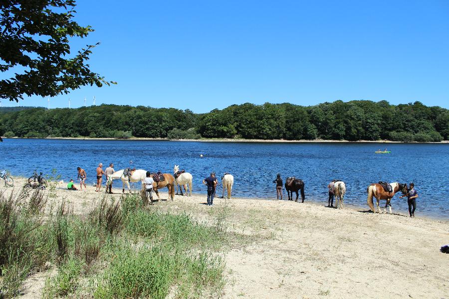 Randonne questre Tarn PNR du Haut-Languedoc