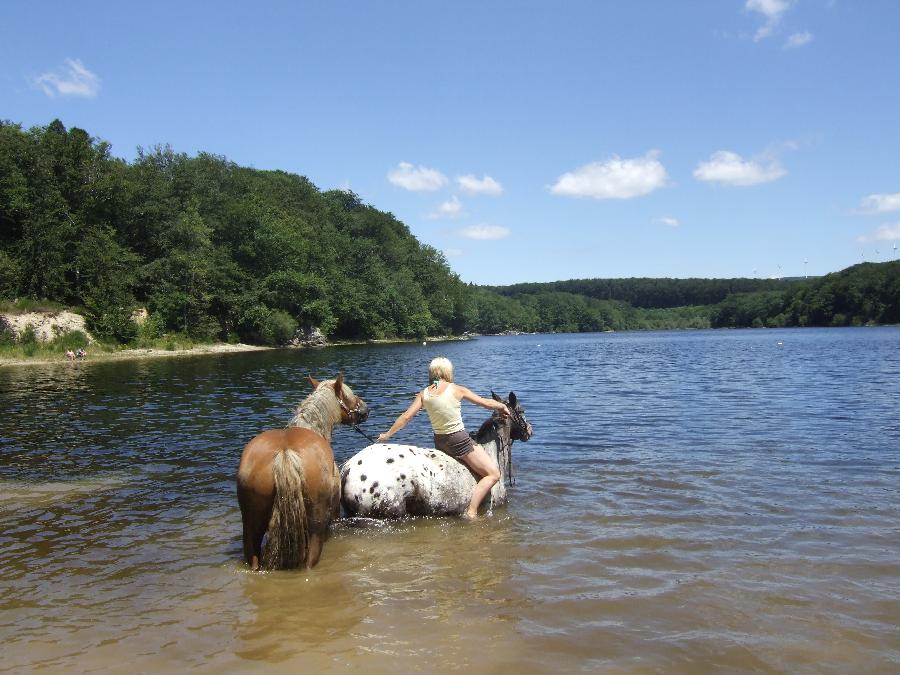 Randonne questre Tarn PNR du Haut-Languedoc photo 3