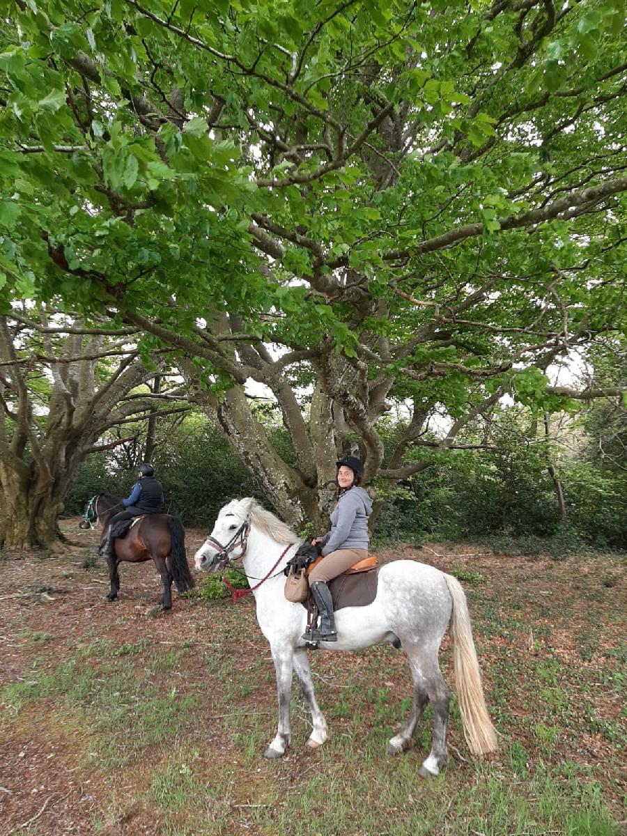 S�jour �questre   photo 5