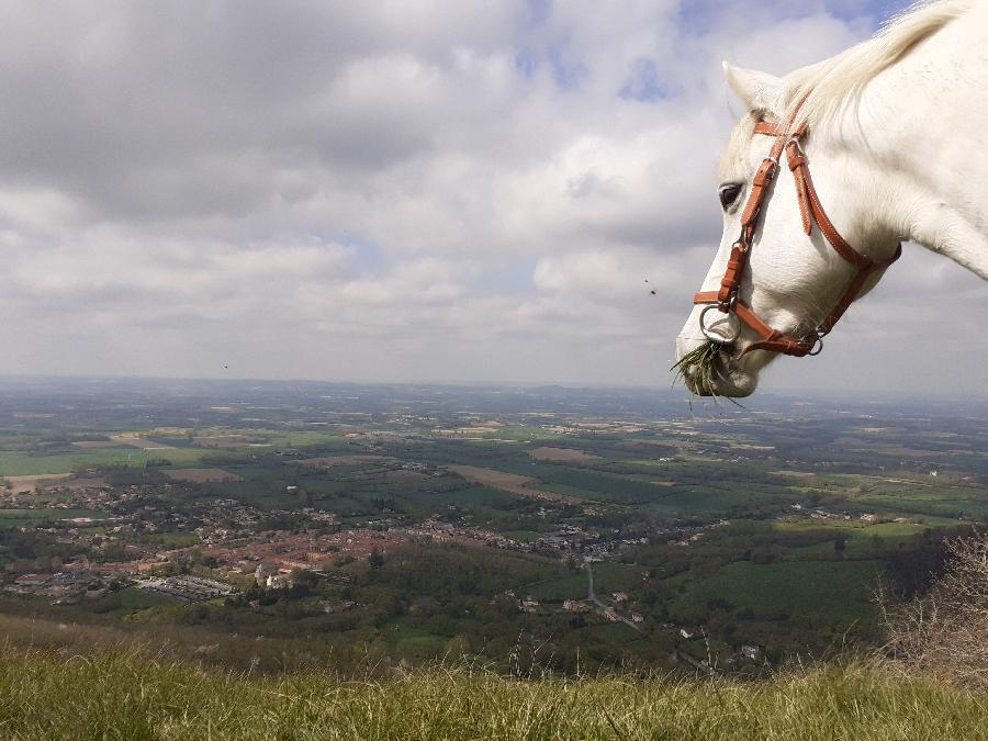 Balade  cheval Tarn PNR du Haut-Languedoc