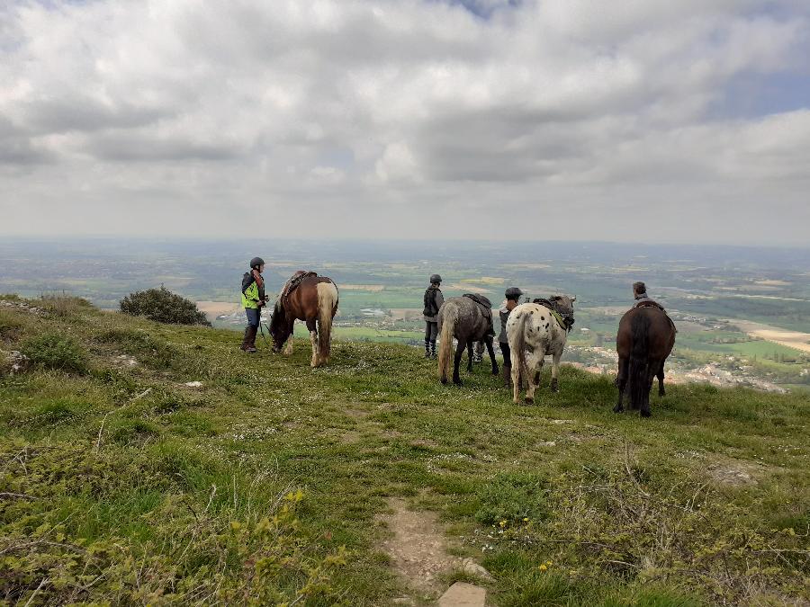 Balade  cheval Tarn PNR du Haut-Languedoc photo 2