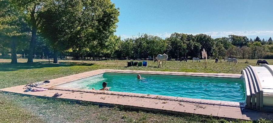 S�jour �questre   photo 5