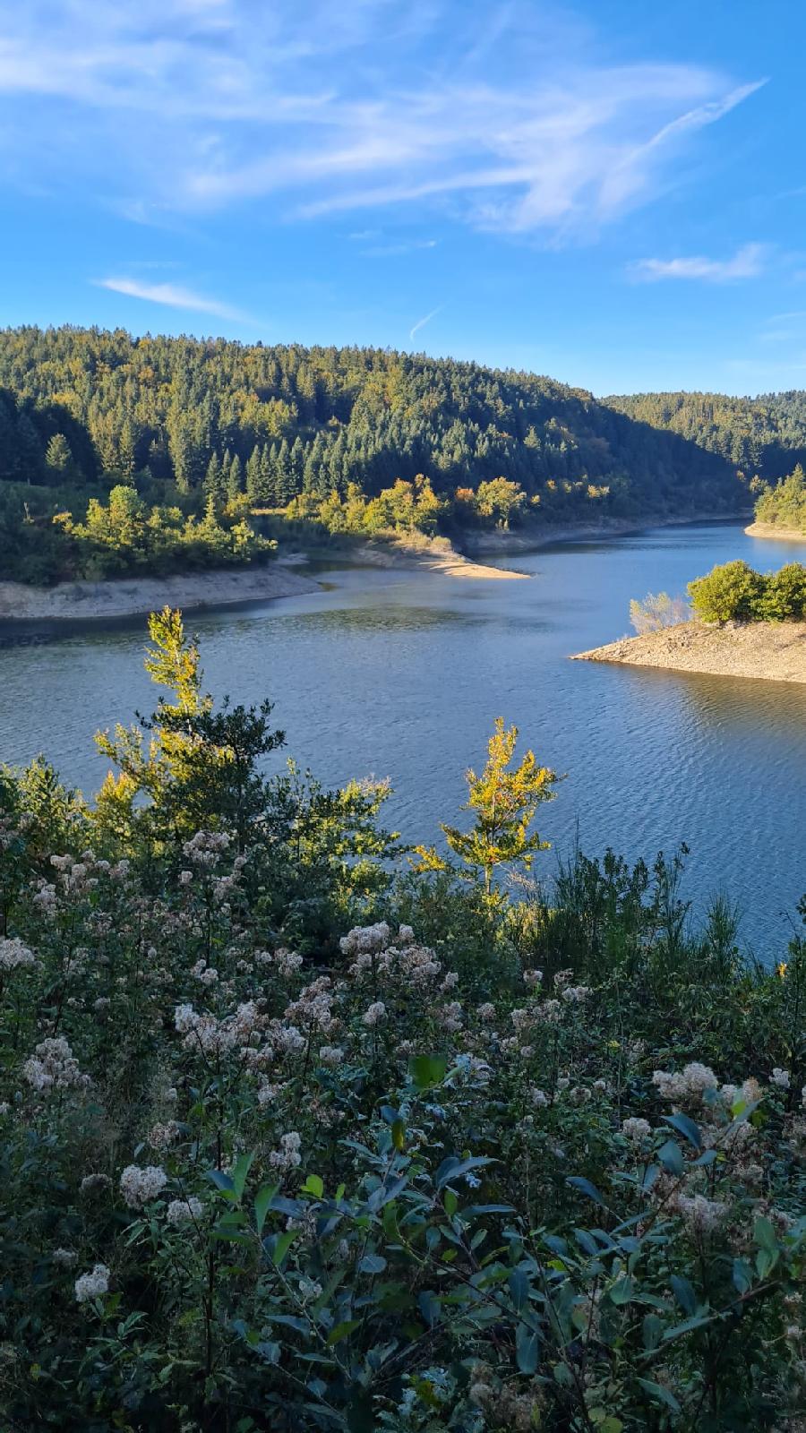 Sjour questre Tarn PNR du Haut-Languedoc photo 3