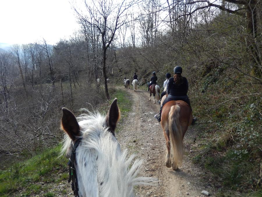 rando Balade  cheval Tarn