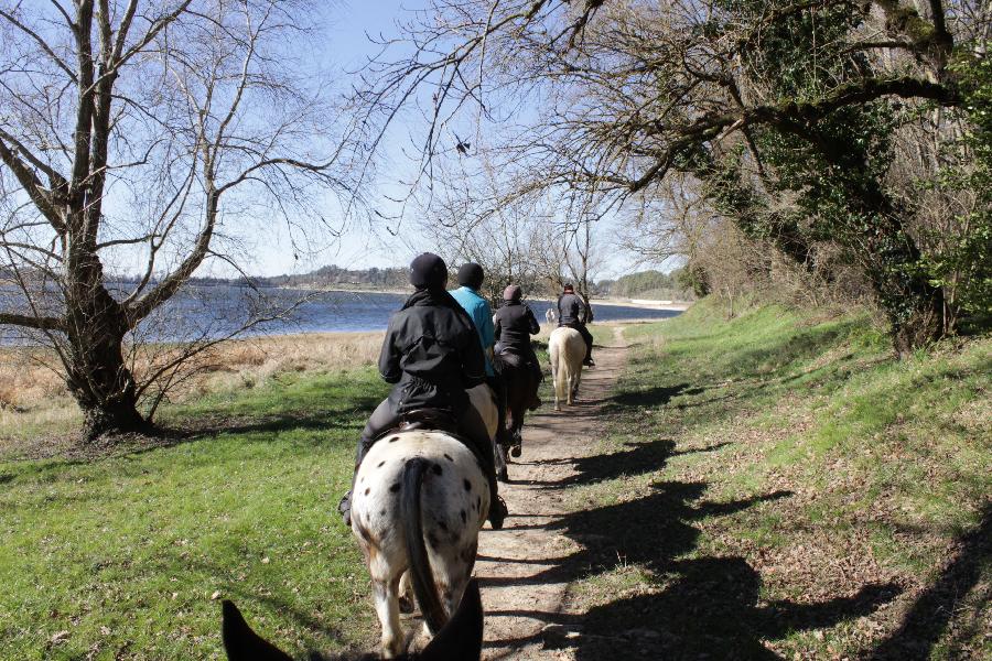 rando Balade  cheval Tarn