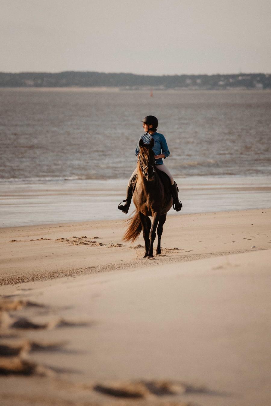 Sjour questre Gironde Mdoc photo 2