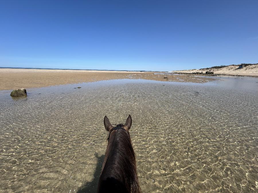 sejour Cheval et bien-tre Gironde