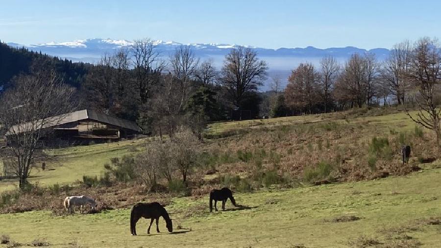 sejour Cheval et bien-tre Puy-de-dme