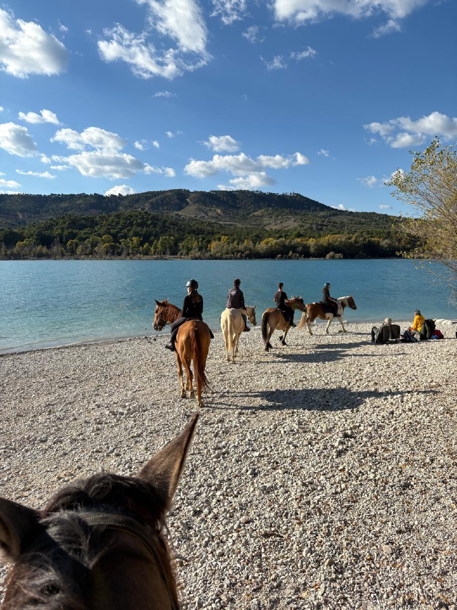 Randonne questre   photo 3