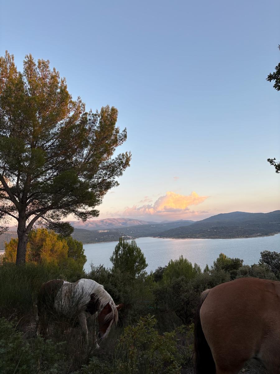 Randonne questre   photo 4