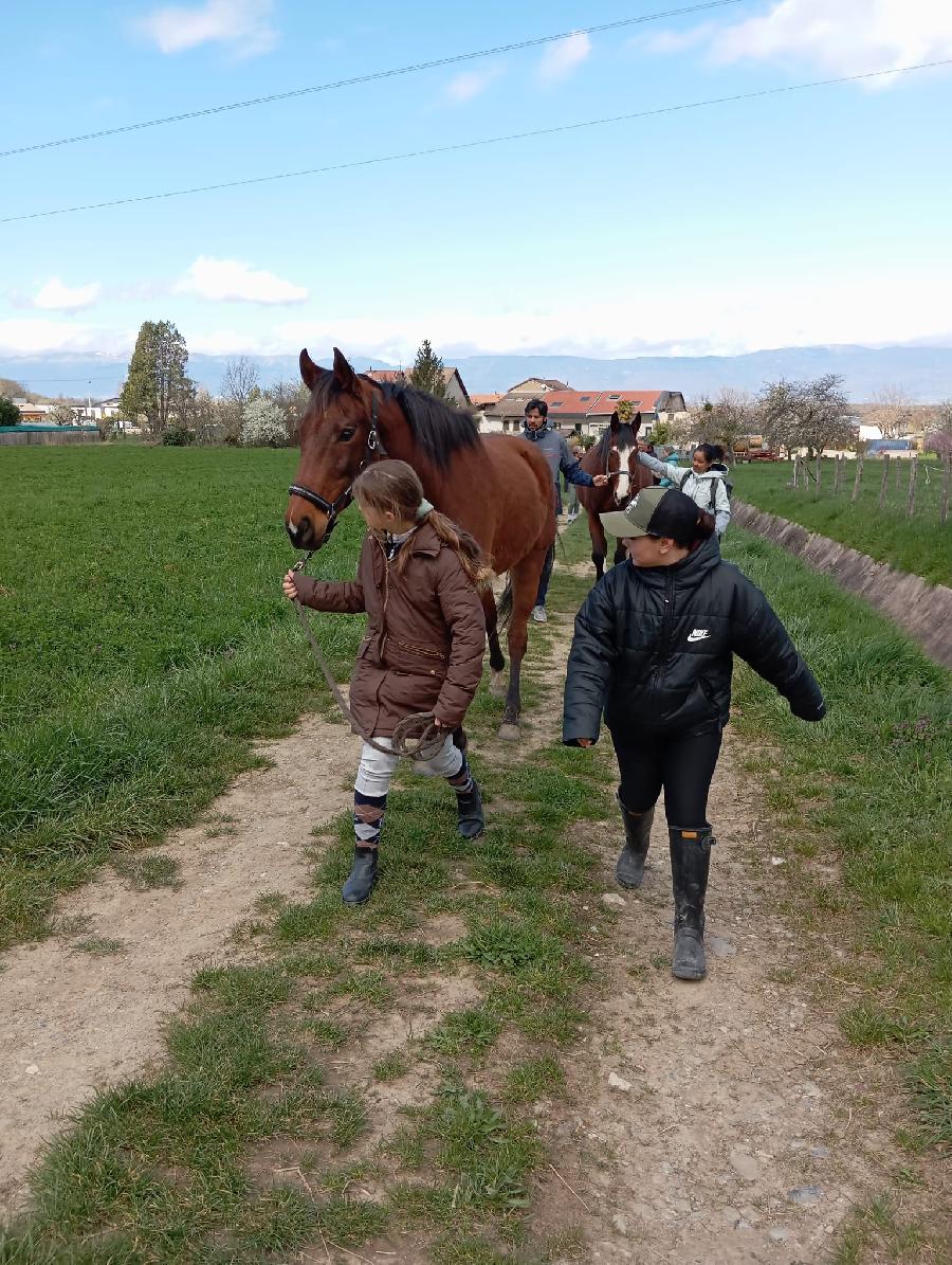 Sjour questre   photo 5