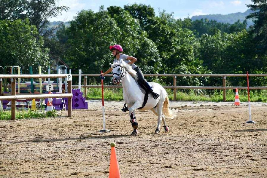 sejour Camps de vacances Puy-de-dme